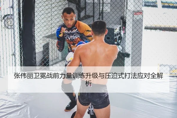 张伟丽卫冕战前力量训练升级与压迫式打法应对全解析